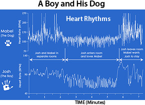 chart_a_boy_and_his_dog